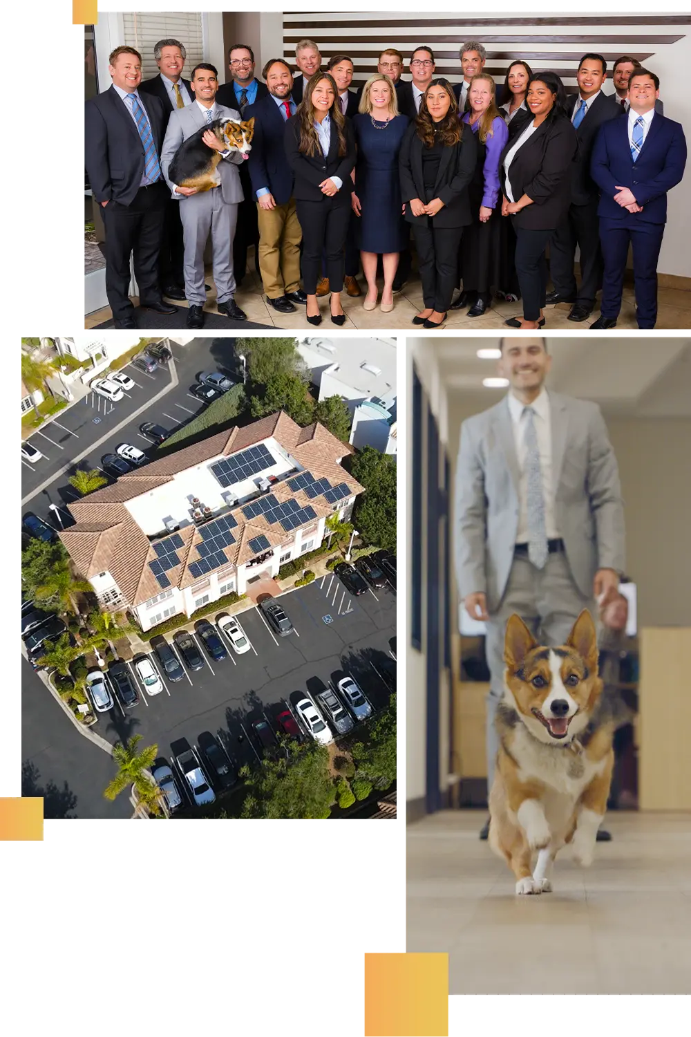 A photo collage of the Global Legal Law Firm team, our beautiful building in San Diego, and a running puppy.