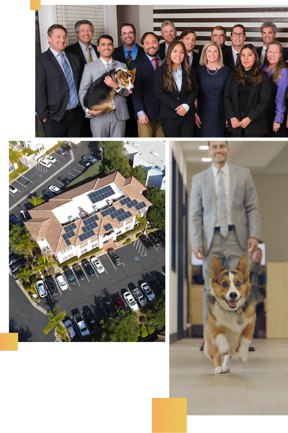 A photo collage of the Global Legal Law Firm team, our beautiful building in San Diego, and a running puppy.